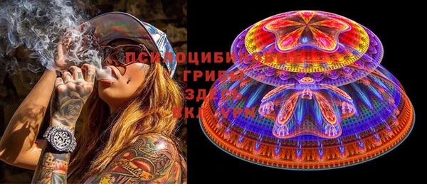 хмурый Анива