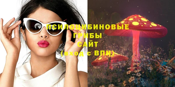 apvp Новокубанск