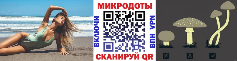 Купить закладки  Костерёво  Псилоцибиновые грибы мицелий 
