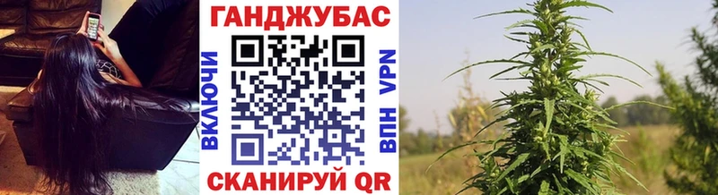 Купить где  Костерёво  Каннабис семена 
